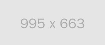 alt 995x663